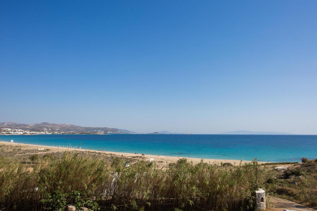 Naxian Riviera Exclusive Seafront Suites, Junior Suite 아기오스프로코피오스 외부 사진