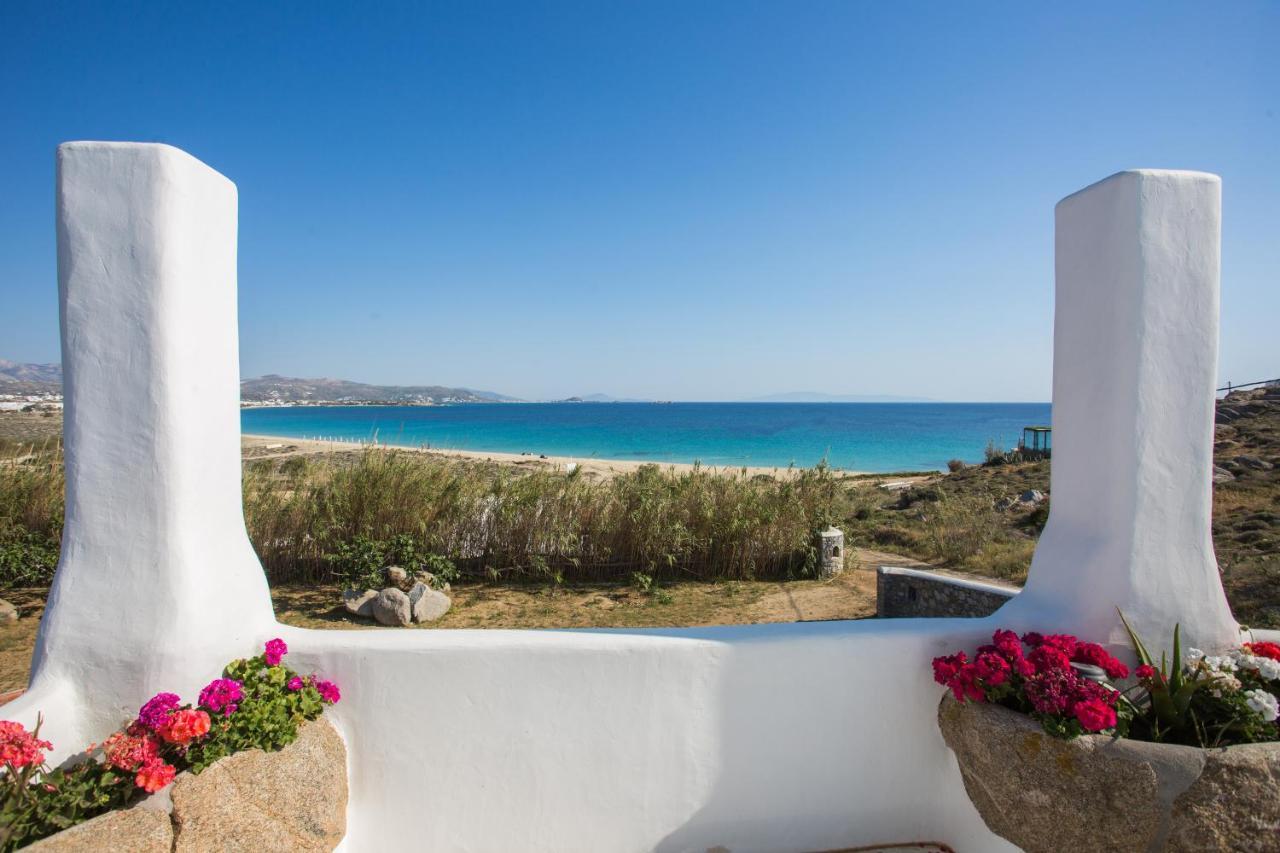 Naxian Riviera Exclusive Seafront Suites, Junior Suite 아기오스프로코피오스 외부 사진